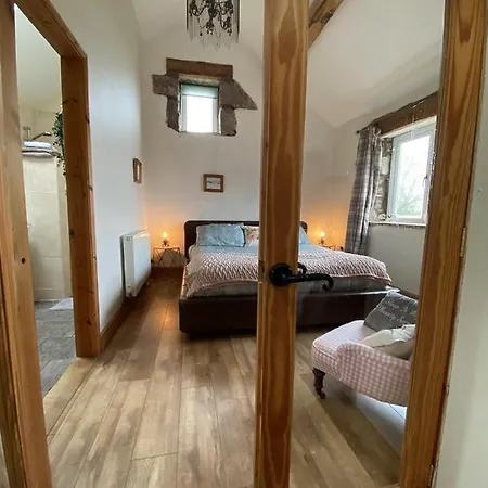 Unique Stay On An Alpaca Therapy Farm With Miniature Donkeys North Wales Mold Exterior photo