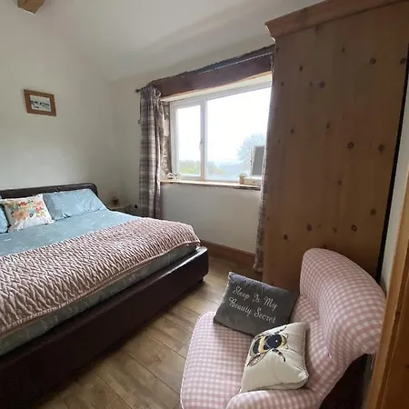 Unique Stay On An Alpaca Therapy Farm With Miniature Donkeys North Wales Mold Exterior photo