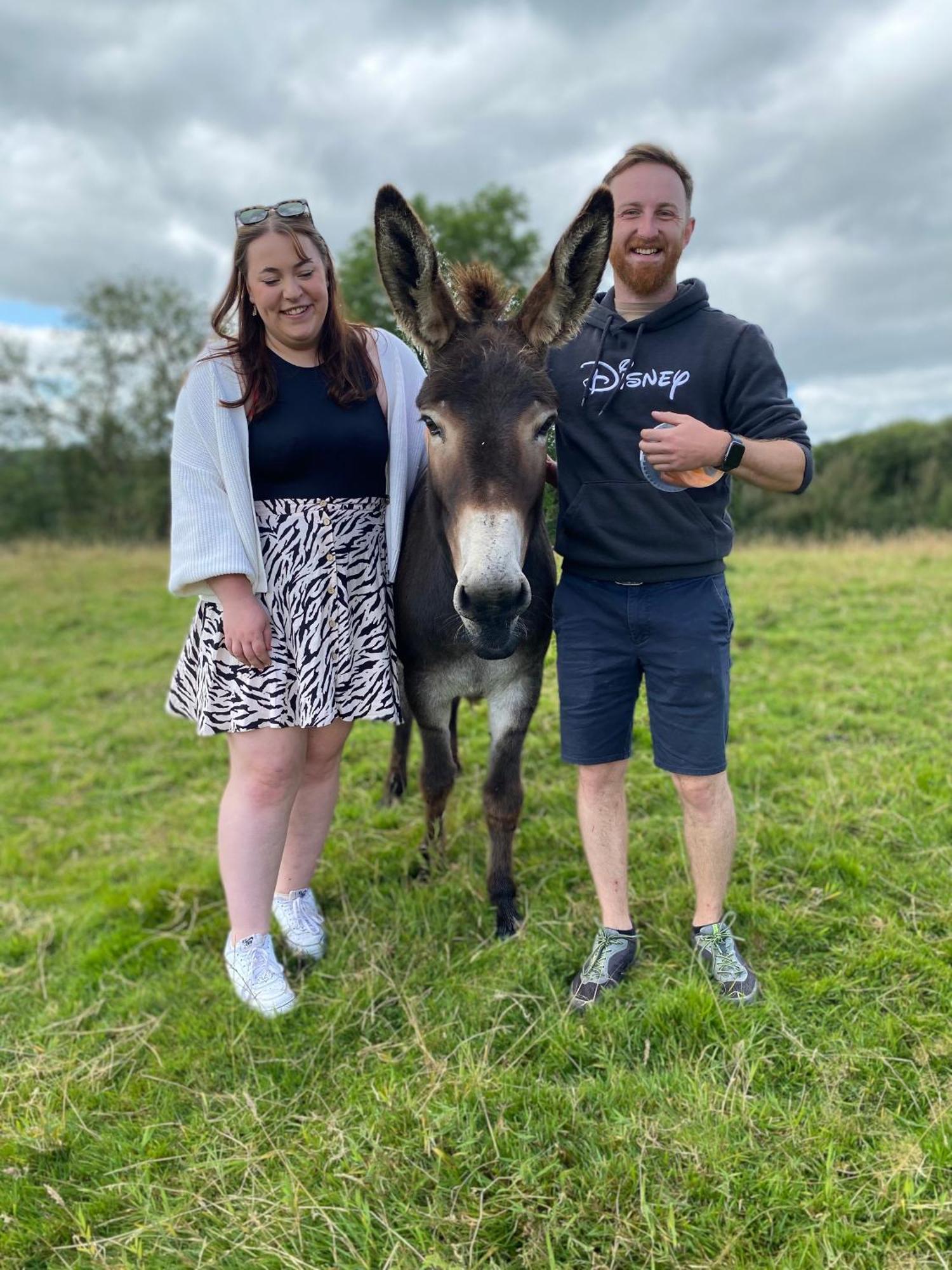 Unique On An Alpaca Therapy Farm With Miniature Donkeys North Wales Apartment Mold