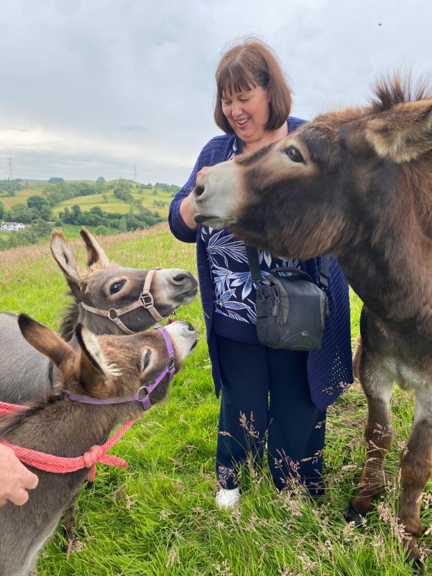 Unique On An Alpaca Therapy Farm With Miniature Donkeys North Wales *
